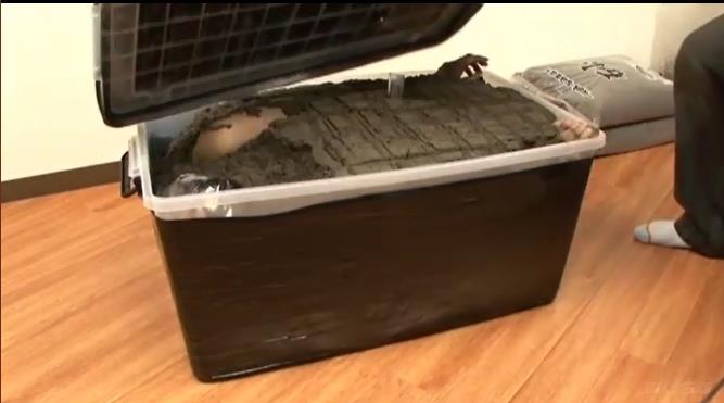 砂埋め生き埋め