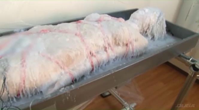 完全拘束パラフィンフェチ