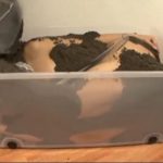 生き埋め拷問｜完全拘束箱埋め砂埋め閉じ込めプレイ