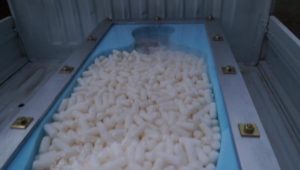 生き埋め閉じ込め完全拘束