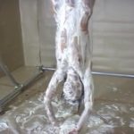 逆さ吊り上げパイ投げ本当の拷問プレイ動画