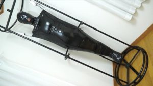 完全拘束吊るし電気拷問