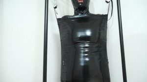 完全拘束吊るし電気拷問