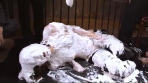 拘束メッシー拷問プレイ