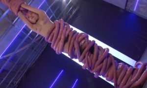 触手拘束メッシー