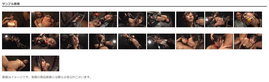 連続拷問完全拘束