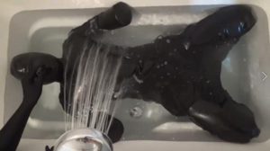 危険な完全拘束│水責めにあう浴槽に浮かび上がる動けない状態で教具の閉じ込め拷問プレイに合う変態女動画