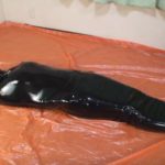 ラバーマミフィケーション完全拘束呼吸制御拷問プレイ