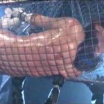 両手足を吊り上げ拘束されてヒロインのムチムチボディが犯される