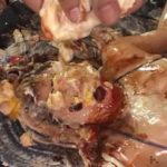 顔面ぶっかけメッシーぐちゃぐちゃプレイ