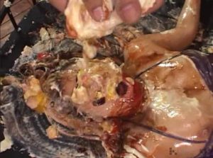 顔面ぶっかけメッシーぐちゃぐちゃプレイ