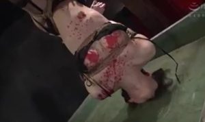 【SM完全拘束拷問】逆さづりで水責め拷問プレイ