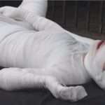 包帯マミフィケーション│全身ぐるぐる巻きからの脱出解放で人間に戻る変態メイキングフェチ動画