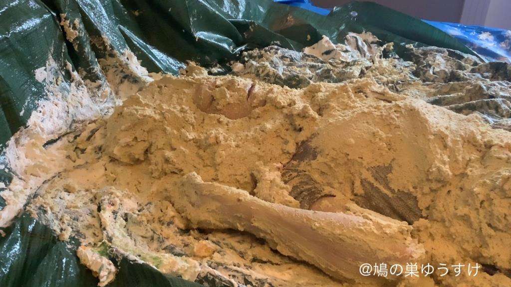 生クリームケーキ女体盛りメッシー