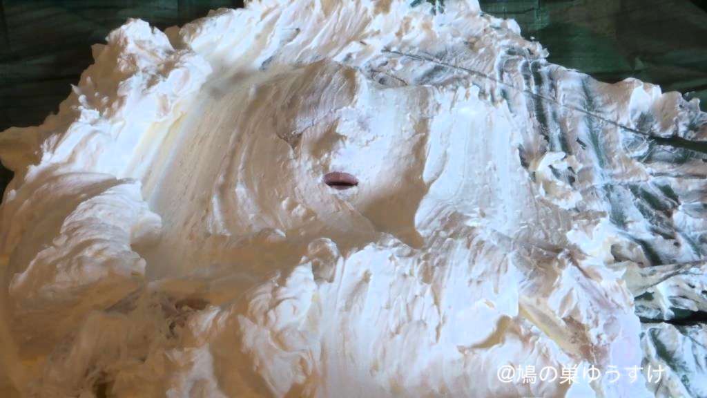 顔面山盛り生クリーム女体盛り