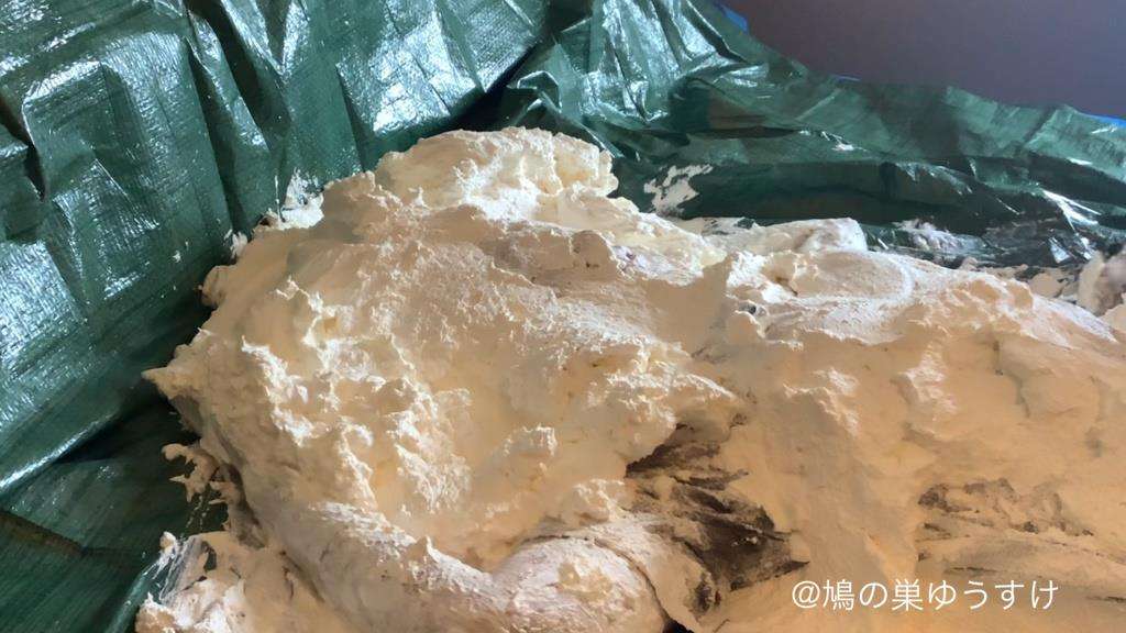 顔面山盛り生クリーム女体盛り