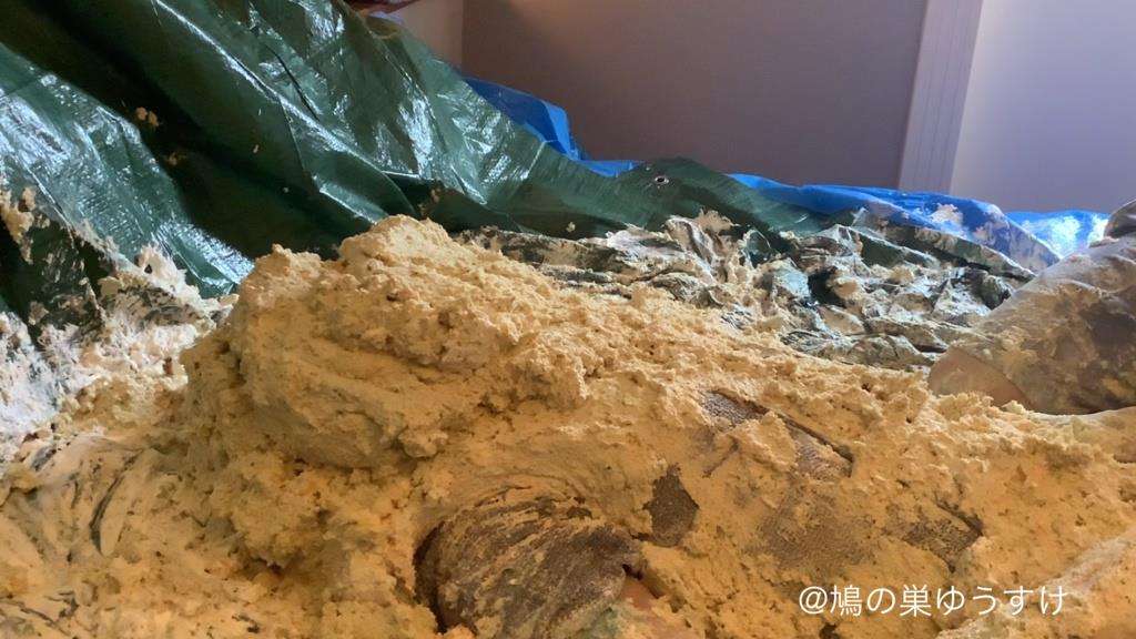 生クリームケーキ女体盛りメッシー