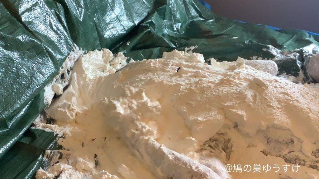 顔面山盛り生クリーム女体盛り