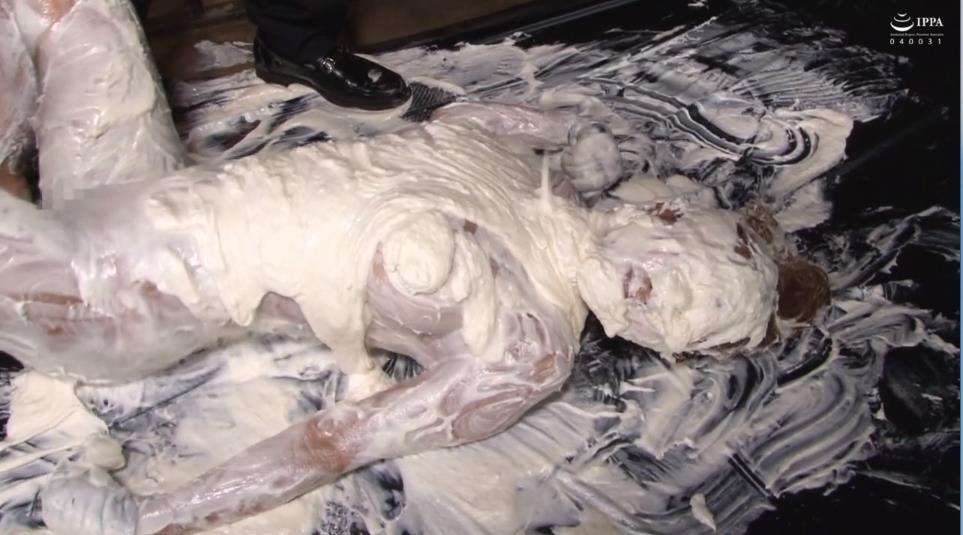 生クリーム女体盛りメッシー