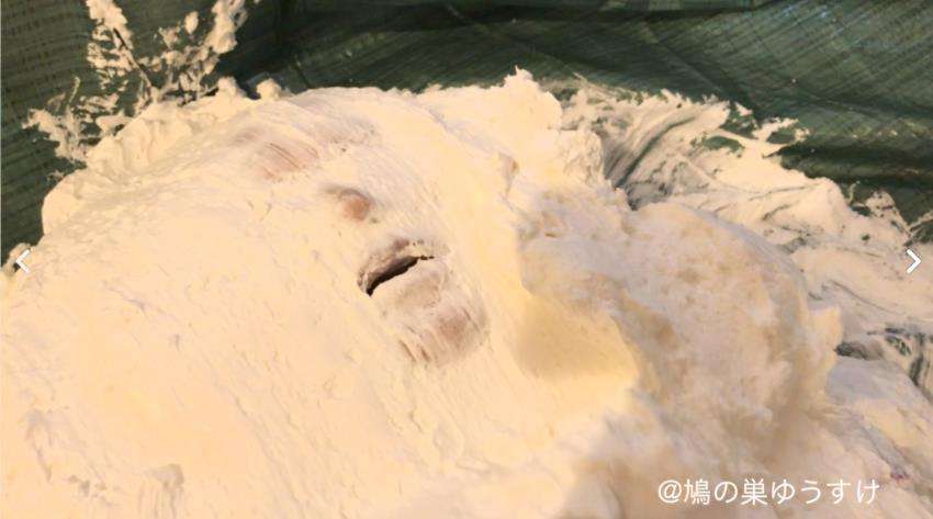 顔面生クリーム山盛り女体盛りメッシー