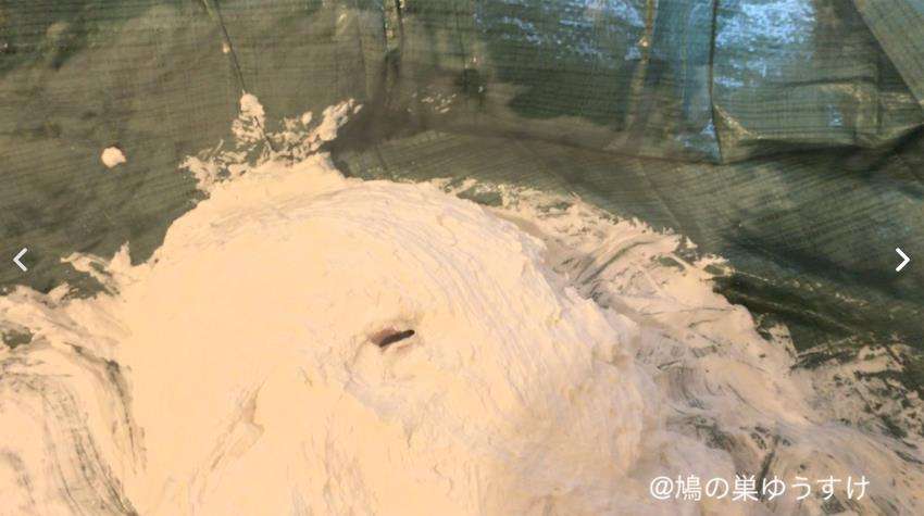 顔面生クリーム山盛り女体盛りメッシー