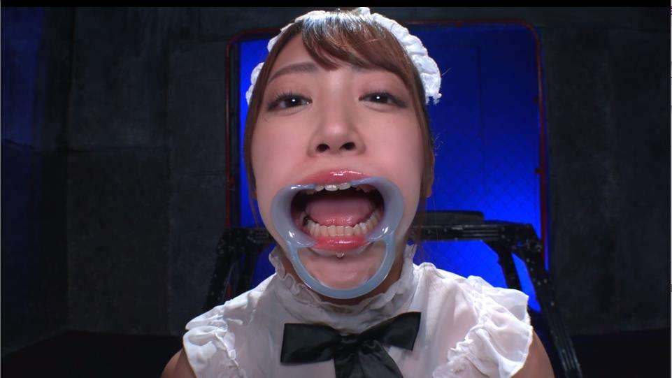 全身完全拘束猿轡水責め拷問