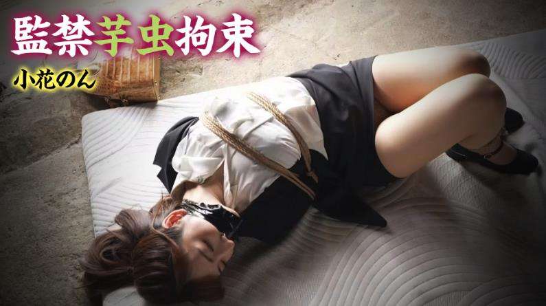 芋虫猿轡完全拘束
