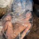 袋詰め閉じ込め生き人形のような女｜本当に感情が無いのか心配になるほど動かない可哀想になる変態フェチ動画