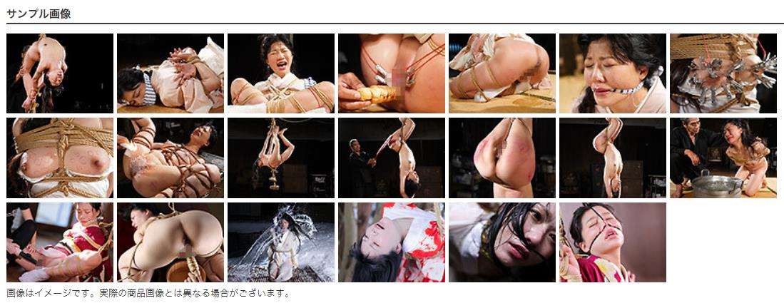 完全拘束本格拷問の叫び