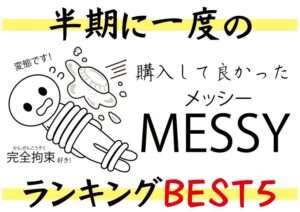 2024年に発売されたメッシー作品勝手にランキング【上半期1~6月】