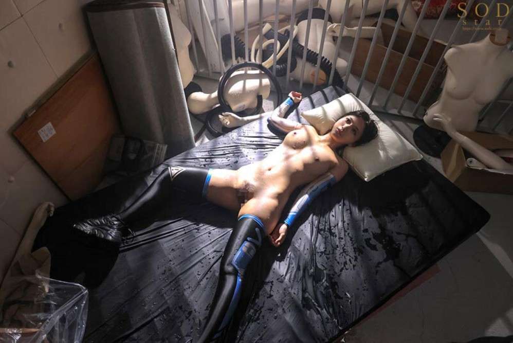 リアル生き人形感情がない動けない物となる