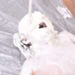 【歴代No1】顔面ぶっかけ生クリーム女体盛りメッシー｜購入推奨パイを山盛りのせて興奮している女変態フェチ動画