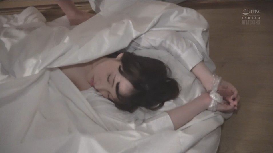 マニアック完全拘束