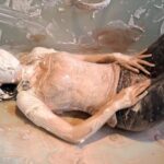 生クリームメッシー顔面ぶっかけ｜全身汚れる姿は美しい真っ白に覆われる興奮変態フェチ動画