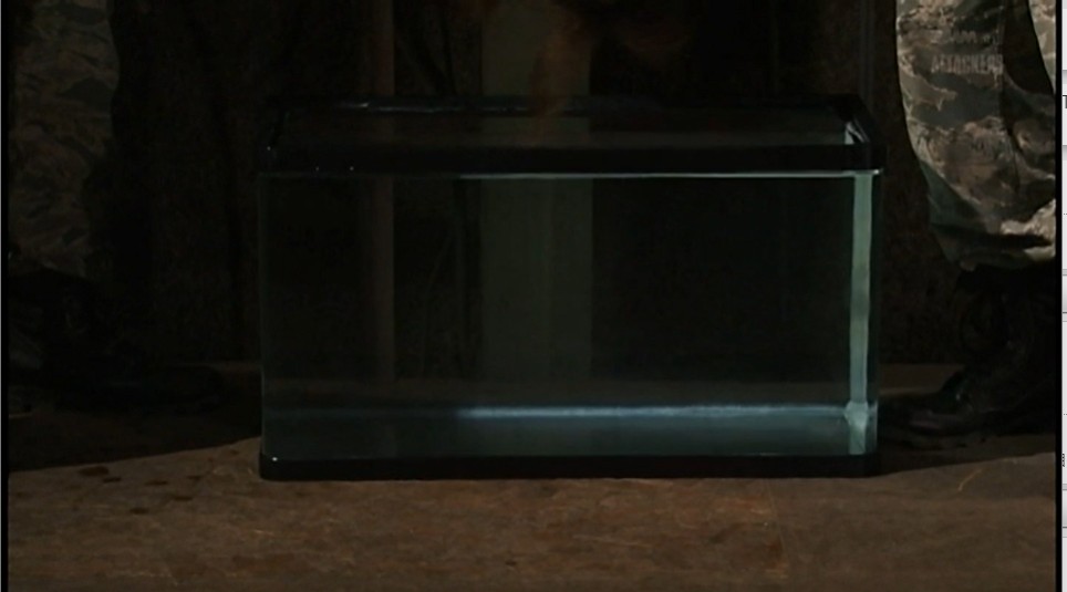 逆さ完全拘束吊り上げ水責め呼吸制御拷問