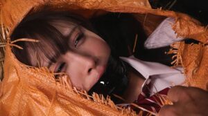 美女のちゃんとした完全拘束｜捕まり監禁され拷問を受ける姿に興奮変態エロフェチ動画