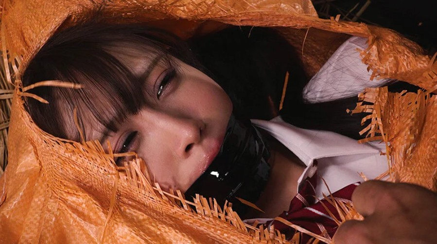 美女のちゃんとした完全拘束