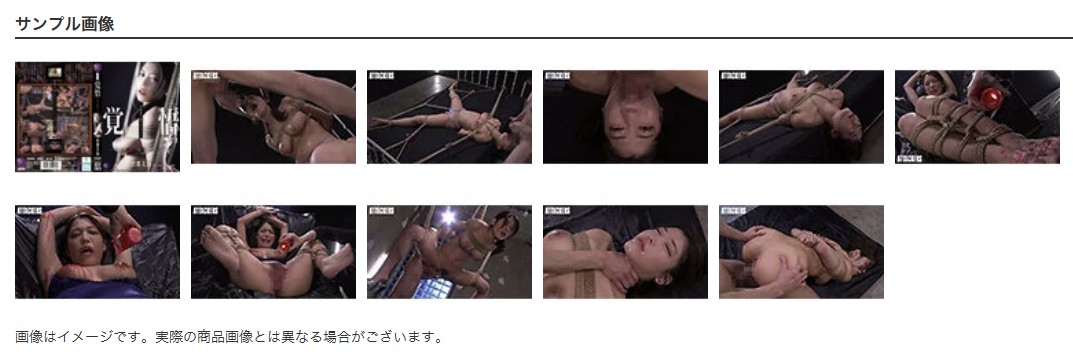 覚醒完全拘束拷問